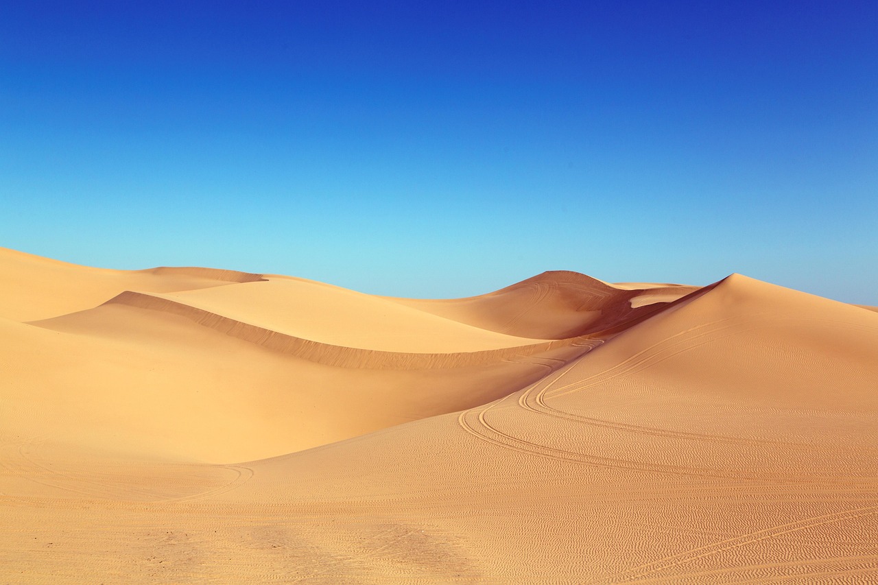 El Sahara alimenta al mar 