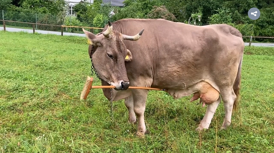 Cosas que no sabíamos